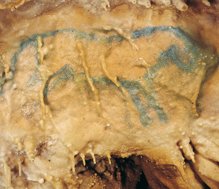 Grotte de Villars