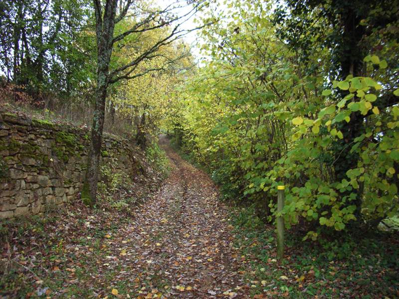 Wandelen