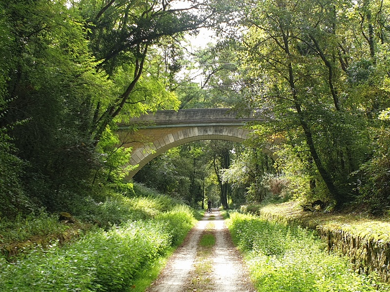 Fietsen & wandelen