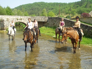 paardensport